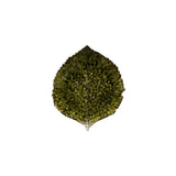 Costa Nova Riviera Hydrangea leaf plate available in 2 colors